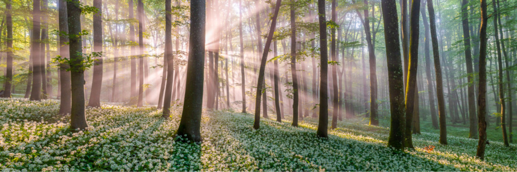 Unsere Kunden - itcnet AG - für Informatik- und Telematik-Lösungen, Netzwerk, Infrastruktur- und Cloud-Lösungen 1